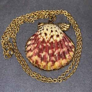 3/$30 Real Shell Necklace